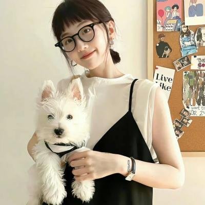 聪明的鸭子